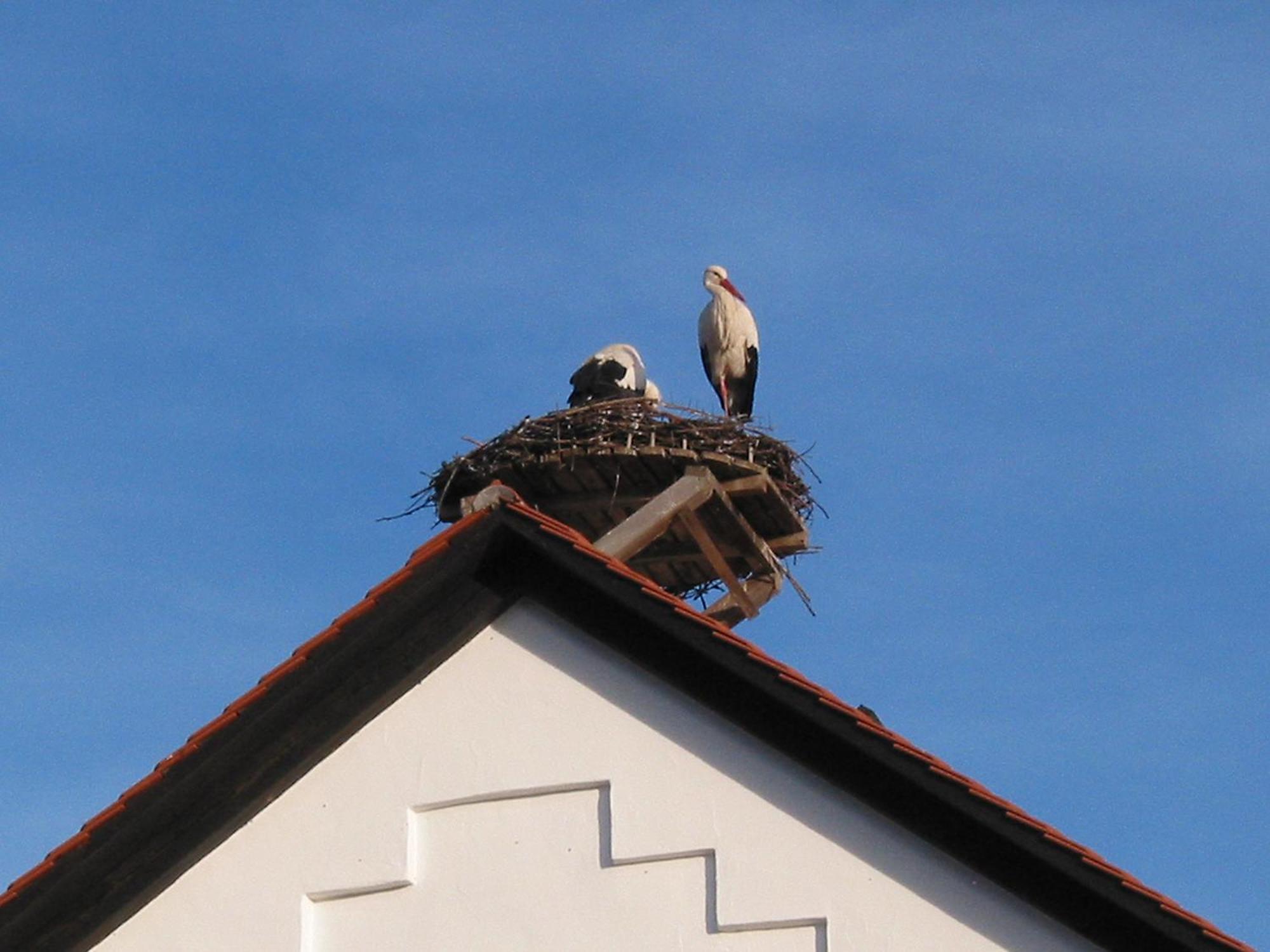 Haus Sonntag Apartamento Frickingen Exterior foto